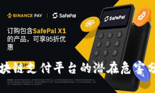 区块链支付平台的潜在危害分析