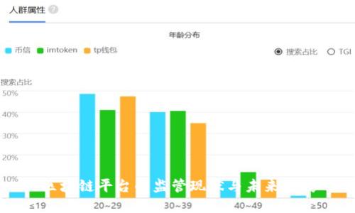 区块链平台的监管现状与未来发展