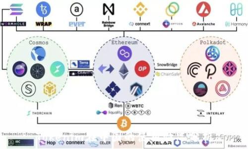  
Tokenim在中国的使用情况分析