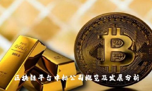区块链平台中标公司概览及发展分析