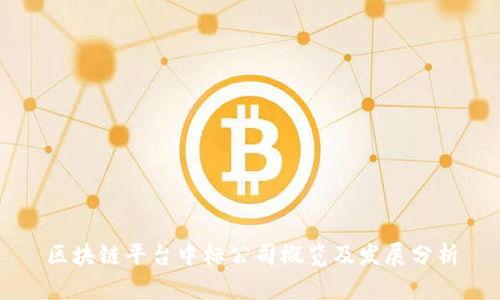 区块链平台中标公司概览及发展分析