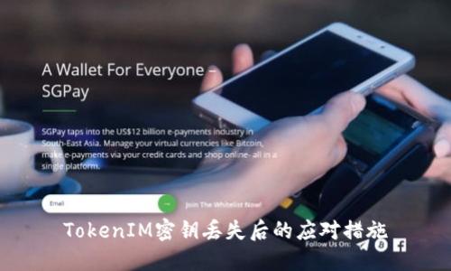 TokenIM密钥丢失后的应对措施