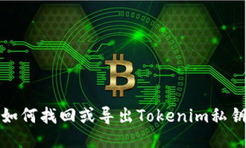 如何找回或导出Tokenim私钥