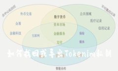 如何找回或导出Tokenim私钥