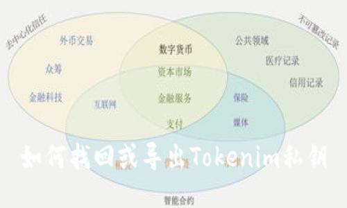 如何找回或导出Tokenim私钥