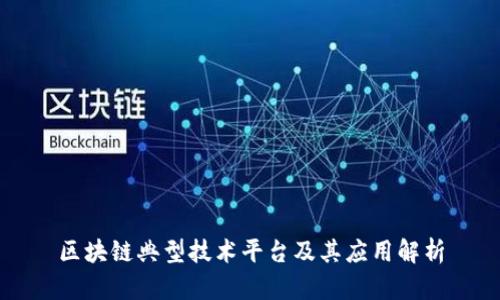 区块链典型技术平台及其应用解析