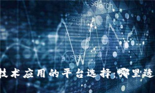 区块链技术应用的平台选择：哪里适合卖出？