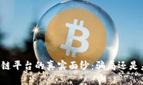 区块链平台的真实面纱：骗局还是未来？