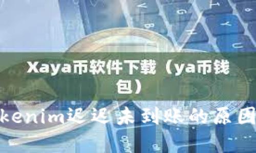: 转账到Tokenim迟迟未到账的原因及解决方案