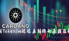 : 转账到Tokenim迟迟未到账的原因及解决方案