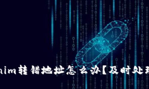 Tokenim转错地址怎么办？及时处理指南
