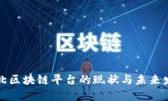 湖北区块链平台的现状与未来发展