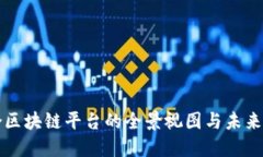聚合区块链平台的全景视图与未来发展