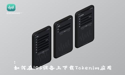 :
如何在iOS设备上下载Tokenim应用