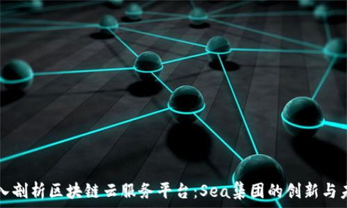   
深入剖析区块链云服务平台：Sea集团的创新与未来