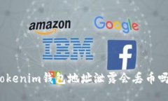 Tokenim钱包地址泄露会丢币吗？