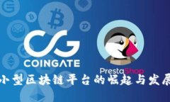 小型区块链平台的崛起与发展