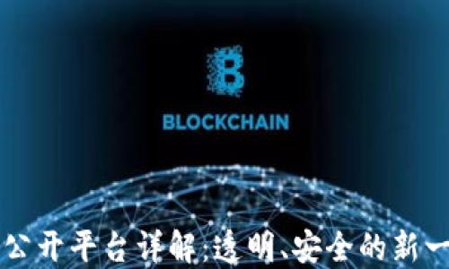 
区块链投票公开平台详解：透明、安全的新一代投票方式