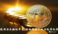最高院司法区块链平台：推动司法公正与效率的