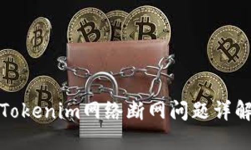 Tokenim网络断网问题详解