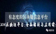 MXM区块链平台：全面解析与应用前景