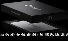 Tokenim的安全性分析：热钱包还是冷钱包？