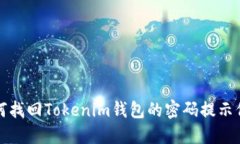 如何找回Tokenim钱包的密码提示信息
