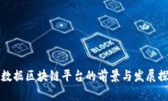 大数据区块链平台的前景与发展探讨