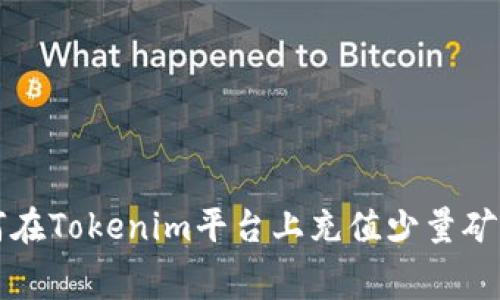 如何在Tokenim平台上充值少量矿工费