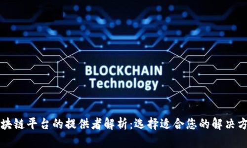 区块链平台的提供者解析：选择适合您的解决方案