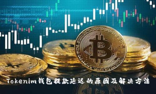 Tokenim钱包提款延迟的原因及解决方法