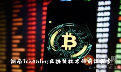 湖南Tokenim：区块链技术的前沿探索