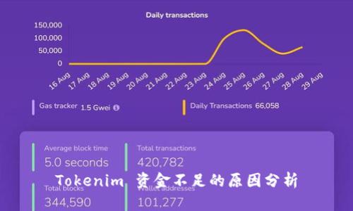 Tokenim 资金不足的原因分析
