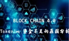 Tokenim 资金不足的原因分析