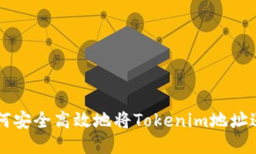 如何安全高效地将Tokenim地址送币