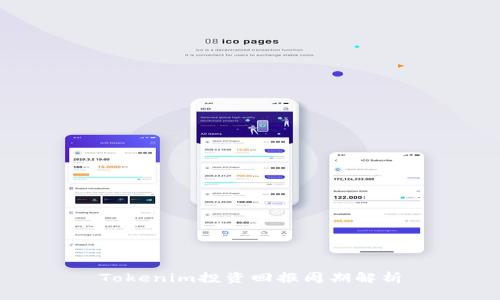 Tokenim投资回报周期解析