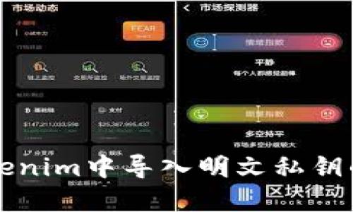 如何在Tokenim中导入明文私钥的详细指南