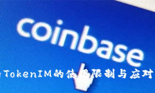 国内TokenIM的使用限制与应对策略