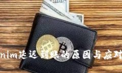 Tokenim延迟到账的原因与应对策略