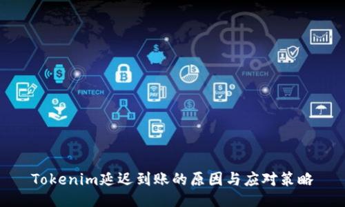 Tokenim延迟到账的原因与应对策略