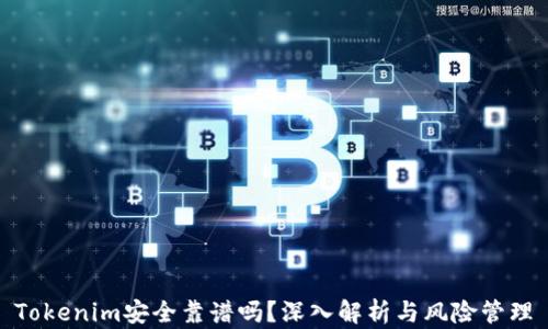 
Tokenim安全靠谱吗？深入解析与风险管理