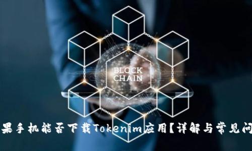 苹果手机能否下载Tokenim应用？详解与常见问题