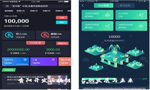 贵阳开发区块链平台的发展与未来