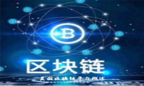 美国区块链平台概述