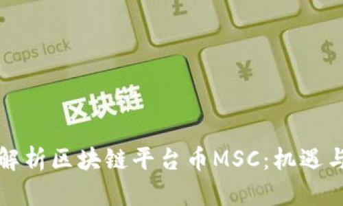 深入解析区块链平台币MSC：机遇与挑战