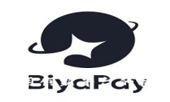 智胜区块链应用创新平台的构建与发展策略