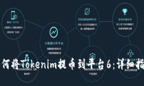 如何将Tokenim提币到平台6：详细指南