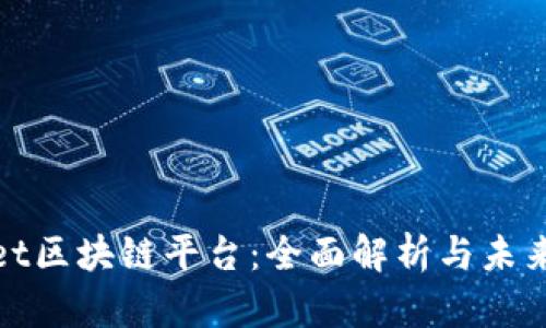 D1Net区块链平台：全面解析与未来展望