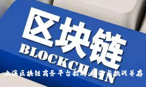 上海区块链商务平台招聘：机遇与挑战并存