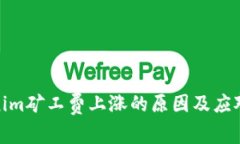 Tokenim矿工费上涨的原因及应对策略